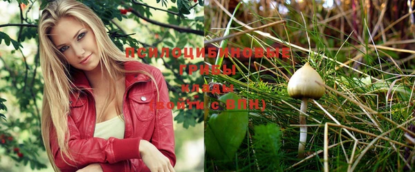 прущие крисы Магас