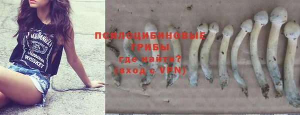 прущие крисы Магас